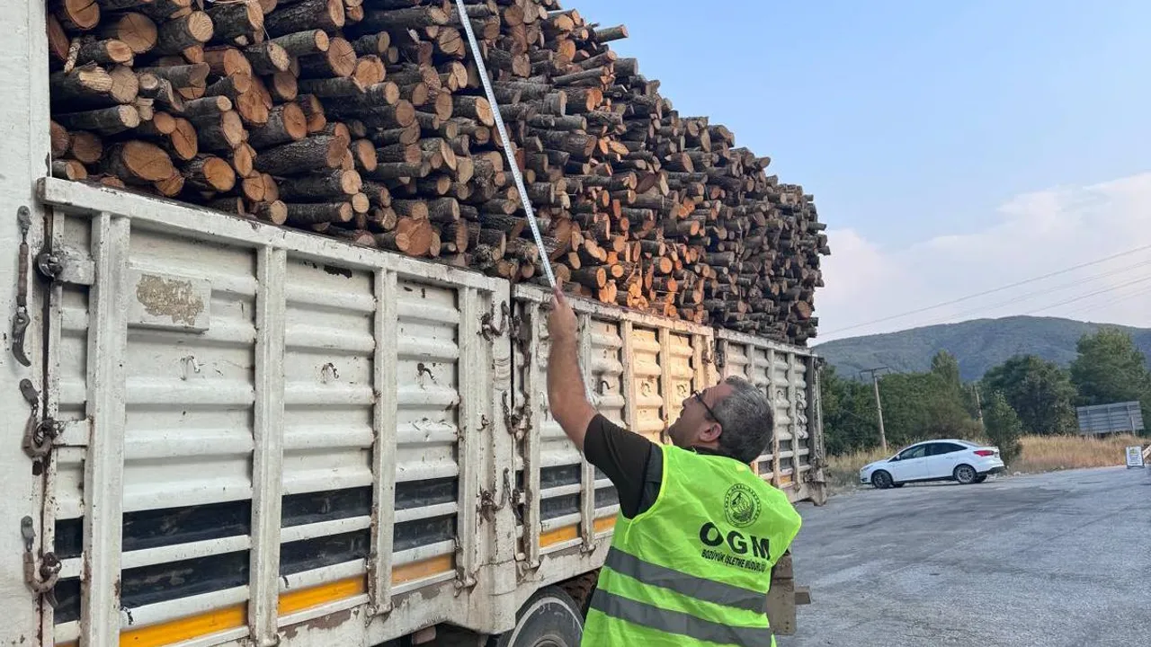 Bilecik Pazaryeri’nde orman emvali denetimi