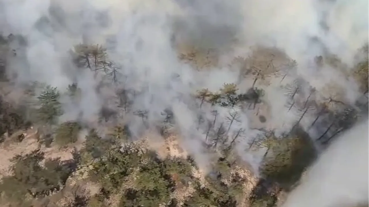 Eskişehir’de orman yangını... Müdahale sürüyor