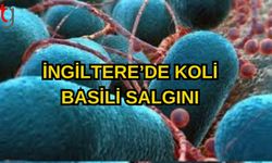 İNGİLTERE’DE KOLİ BASİLİ SALGINI