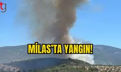 MİLAS’TA YANGIN!