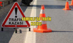 Pamuklu'da Trafik Kazası