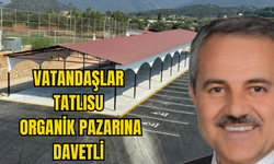 TATLISU'DA ORGANİK PAZAR AÇILIYOR