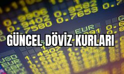 DÖVİZ KURLARI