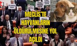 MECLİS’TE HAYVANLARIN ÖLDÜRÜLMESİNE YOL AÇILDI