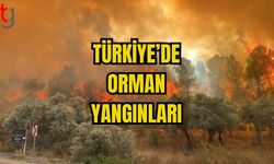 TÜRKİYE’DE ORMAN YANGINLARI