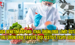 GIDA ANALİZLERİ AÇIKLANDI: LİMİT ÜSTÜ VE TAKVİYE DIŞI KORUMA OLAN O ÜRÜNLER!