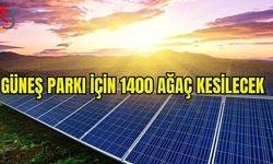 GÜNEŞ PARKI İÇİN 1,400 ÇAM AĞACI KESİLECEK