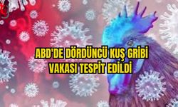 ABD'DE DÖRDÜNCÜ KUŞ GRİBİ VAKASI TESPİT EDİLDİ