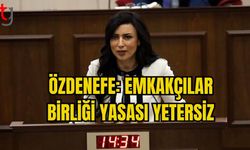 ÖZDENEFE: EMKAKÇILAR BİRLİĞİ YASASI YETERSİZ