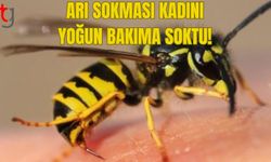 ARI SOKMASI KADINI YOĞUN BAKIMA SOKTU!