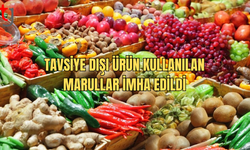 Yasa Dışı İlaç Kullanılan Marullar İmha Edildi