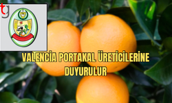 Valencia Portakal Üreticilerine Önemli Duyuru