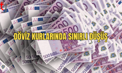 2 Temmuz Döviz Kurlarında Sınırlı Düşüş