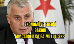 EKONOMİ VE ENERJİ BAKANI İSTİFA MI EDİYOR ?