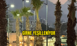 GİRNE KORDONBOYU ARTIK DAHA YEŞİL