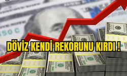 DÖVİZ SON BİR AYIN REKORUNU KIRDI