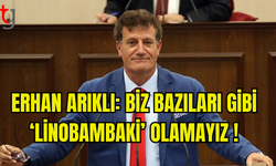 ARIKLI: AĞUSTOS, TÜRKLER İÇİN ZAFERLERİN AYI