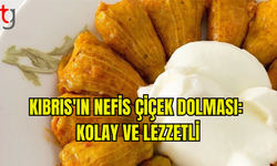 KIBRIS'A ÖZGÜ ÇİÇEK DOLMASI TARİFİ