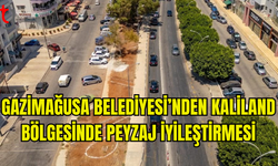 KALİLAND BÖLGESİNDEKİ PEYZAJ DÜZENLEME PROJESİ BAŞLADI