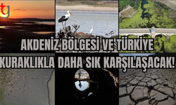 TÜRKİYE DAHİL BİRÇOK AKDENİZ ÜLKESİ "KURAKLIĞIN YAYGINLAŞMASI" TEHLİKESİYLE KARŞI KARŞIYA