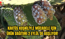 Kaktüs Koşnili ile Mücadele İçin Bitki Koruma Ürünü Dağıtımı Başlıyor