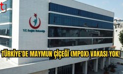 Türkiye'de Maymun Çiçeği Vakası Görülmedi