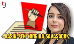 Basın-Sen, Basına Yönelik Saldırıyı Yargıya Taşıyacak