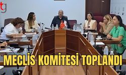 Yükseköğretim Kurumlarının ve YÖDAK’ın Araştırılması İçin Meclis Komitesi Toplandı