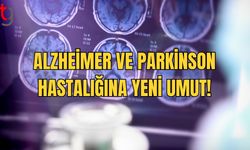 Doğumu Başlatan İlaç, Alzheimer ve Parkinson Tedavisinde Umut Işığı Oldu