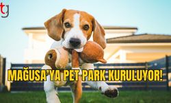 Gazimağusa’da Çocuk Parkları Yenileniyor, Şehre İlk Pet Park Geliyor