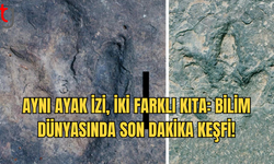 Atlantik’in Her İki Tarafında Eşleşen Dinozor Ayak İzleri Keşfedildi