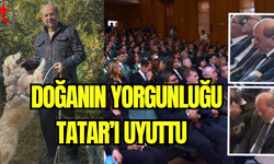 Doğanın Yorgunluğu Tatar’ı Uyuttu