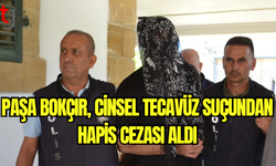 Paşa Bokçır, Cinsel Tecavüz Suçundan Hapis Cezası Aldı