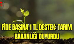 Tarım Bakanlığı’ndan Fide Destekleri: Üreticilere 1 TL