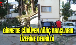 Girne’de Çürüyen Ağaç Araçların Üzerine Devrildi