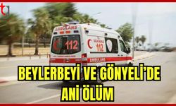 Beylerbeyi ve Gönyeli'de ani ölüm