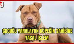 5 yaşındaki çocuğu yaralayan köpeğin sahibine yasal işlem