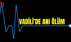 Vadili’de Ani Ölüm: Araç Kazası Sonucu Hayatını Kaybetti