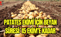 Patates Ekimi İçin Beyan Süresi: 15 Ekim’e Kadar