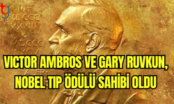 2024 Nobel Tıp Ödülü, MikroRNA Keşfine Verildi