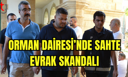 Orman Dairesi’nde Sahtecilik ve Görevi Kötüye Kullanma İddiaları