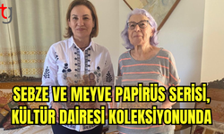 Sebze ve Meyve Papirüs Serisi, Kültür Dairesi Koleksiyonunda