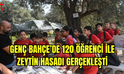 Girne’de İlkokul Öğrencilerinden Zeytin Hasadına Destek