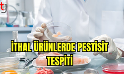 İthal Susam ve Üzümde Pestisit Fazlası