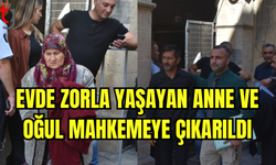 Anne ve Oğul Hakkında Diğer Suç Dosyaları