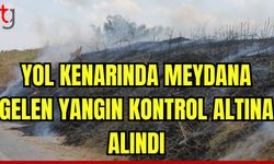 Yol kenarında meydana gelen yangın kontrol altına alındı