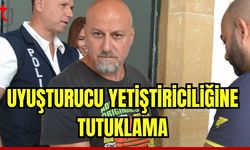 Uyuşturucu yetiştiriciliğine tutuklama