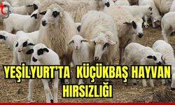 Yeşilyurt'ta küçükbaş hayvan hırsızlığı