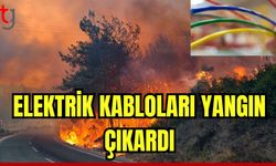 Elektrik kabloları yangın çıkardı