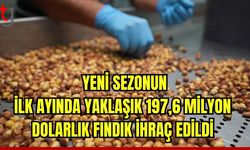 Yeni sezonun ilk ayında yaklaşık 197,6 milyon dolarlık fındık ihraç edildi